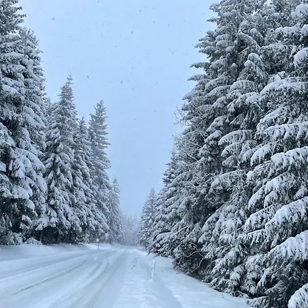 Horska Natura Nove Mesto