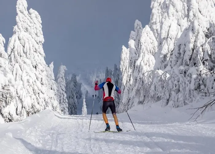 Horska Natura Nove Mesto * Яхимов