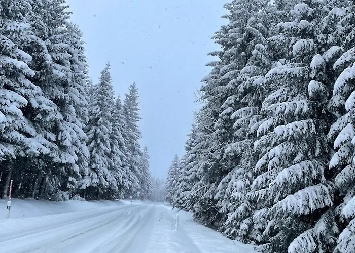 Horska Natura Nove Mesto